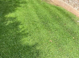 Shana G.'s Cleanups service result