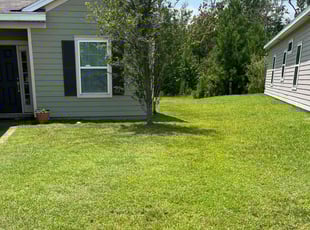 Katie L.'s turf care service result