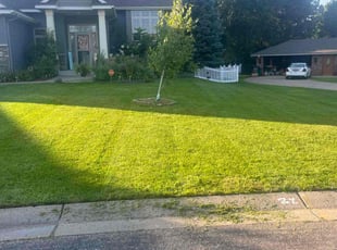 Joshua C.'s lawn service service result