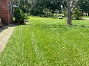 Pauline E.'s turf care service result