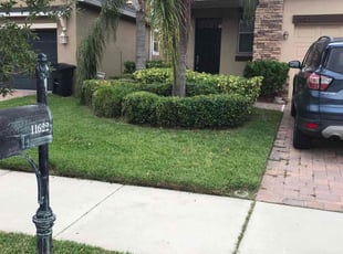 Mantana H.'s turf care service result