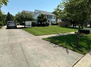 Damon W.'s lawn service service result