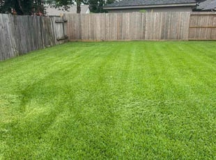 Austin T.'s yard care service result