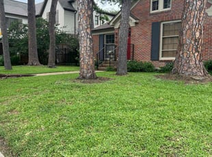 Jay P.'s turf care service result