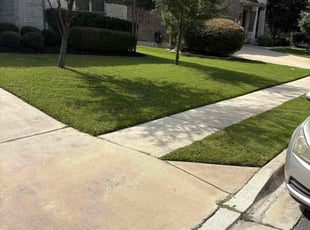 Tiffany B.'s turf maintenance service result