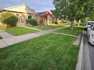 Quincy J.'s lawn care services service result