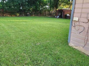 Chris R.'s yard work service result