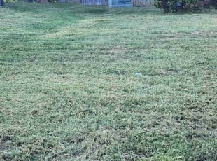 Naomi H.'s lawn care services service result