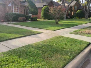Lauren H.'s grass cutting service result