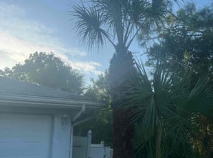 Mark K.'s Bush Trimming service result