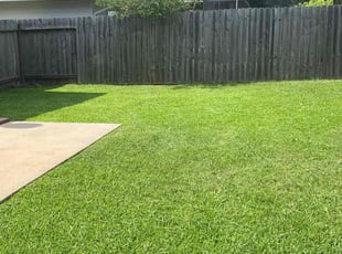 Melissa V.'s turf maintenance service result