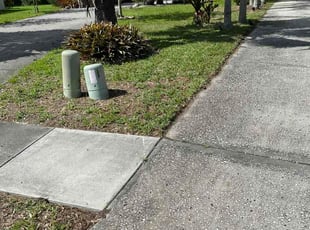 Susan H.'s turf maintenance service result