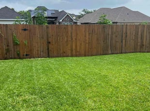 Tricia G.'s grass cutting service result