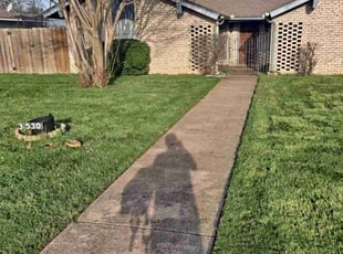 Greg P.'s turf maintenance service result
