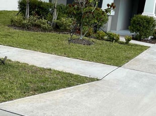 Brian O.'s grass maintenance service result