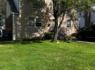 Chris P.'s lawn service service result