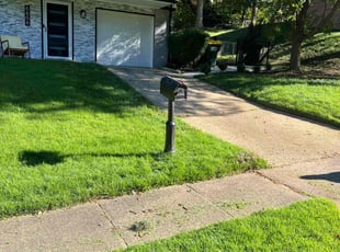 Greg G.'s grass maintenance service result