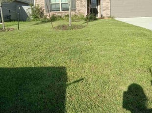 Wayne H.'s turf maintenance service result