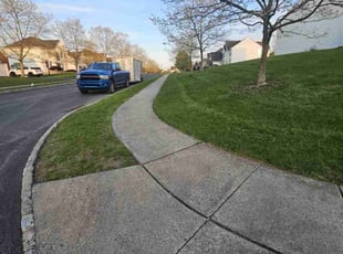 Corey F.'s grass maintenance service result