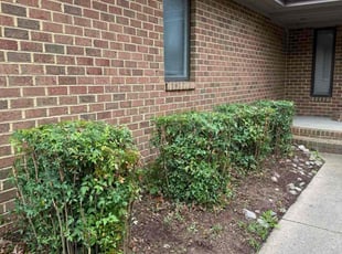 Gary W.'s Bush Trimming service result