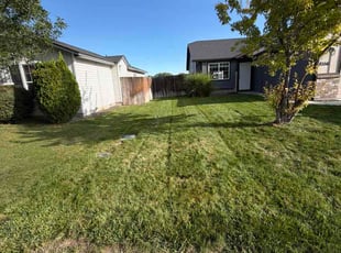 Maya P.'s turf care service result