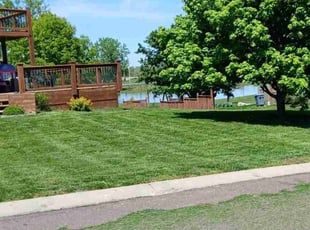 Angela C.'s lawn maintenance service result