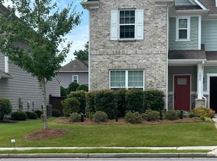 Iveren L.'s turf maintenance service result