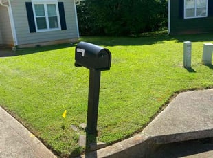 Collin K.'s lawn service service result