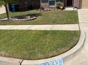 Victor M.'s grass cutting service result