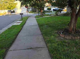 Jaime S.'s grass maintenance service result