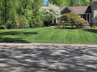 Cynthia H.'s gardening service service result