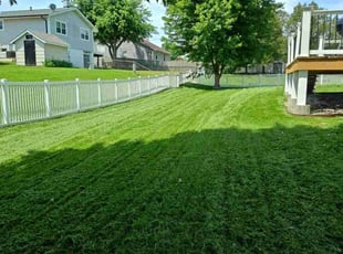 Felecia J.'s lawn care service result
