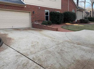 Tiffany J.'s Leaf Removal service result