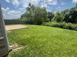 Keith J.'s turf care service result