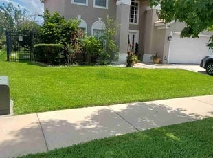 Robert C.'s grass maintenance service result