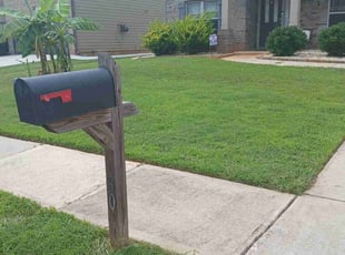 Cindy D.'s residential landscaping service result