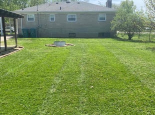 Paige T.'s grass maintenance service result