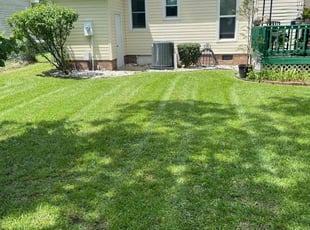 Rick M.'s lawn maintenance service result