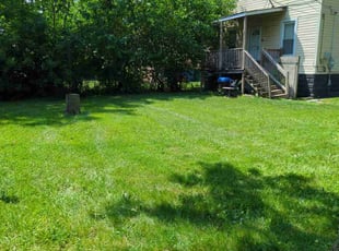 Terry C.'s lawn maintenance service result