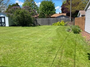 Erin H.'s lawn care service result