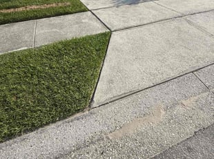 Sharon G.'s turf care service result