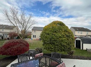 Brenda R.'s Bush Trimming service result