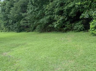 Eileen D.'s Lawn Seeding service result
