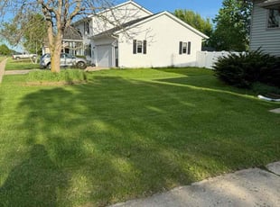 Eurman A.'s grass cutting service result