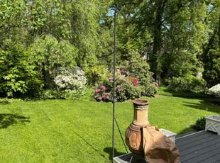 Alex M.'s landscaping service result