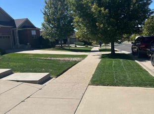 Kartika C.'s grass cutting service result