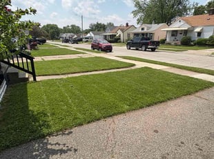 Angela C.'s lawn care service result