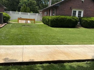 Lauren L.'s lawn maintenance service result