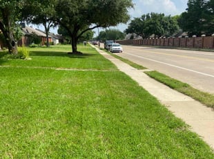 Sheena Y.'s lawn service service result