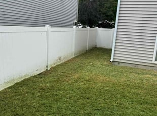 Angel A.'s grass maintenance service result